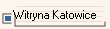 Witryna Katowice