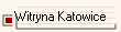 Witryna Katowice