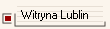 Witryna Lublin